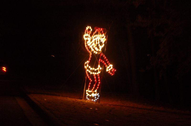 DSC_2518.JPG