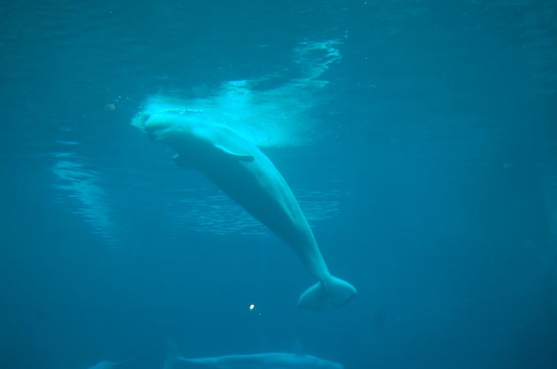 DSC_2131.JPG