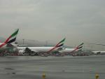 DSC00562.JPG