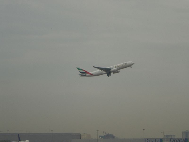 DSC00564.JPG