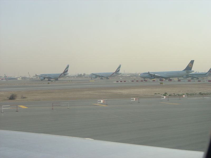 DSC01227.JPG