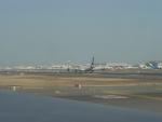 DSC01230.JPG