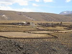 DSC00448
