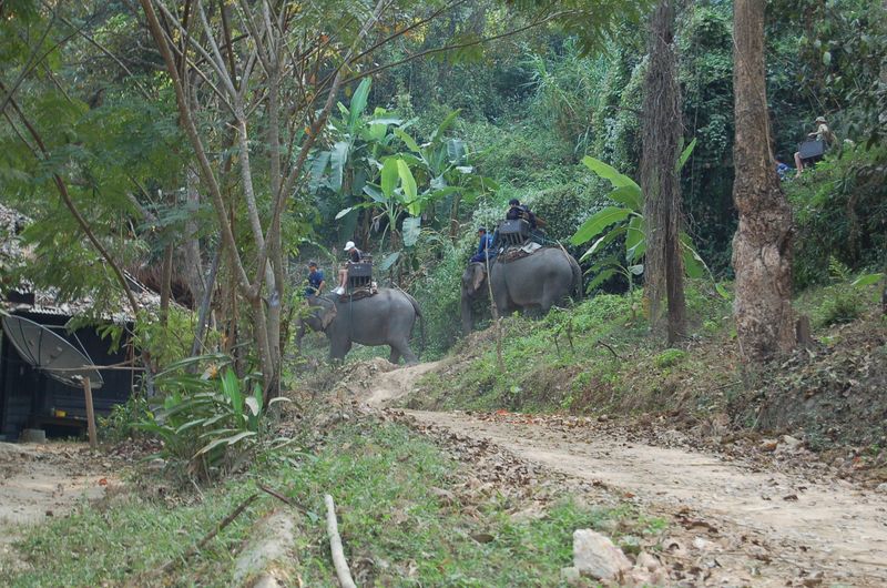 DSC_4768.JPG
