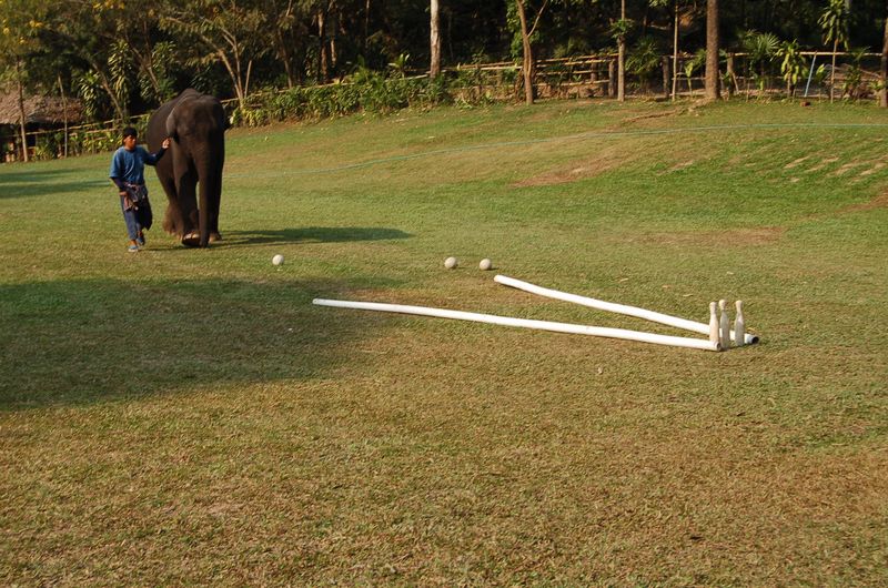 DSC_4800.JPG