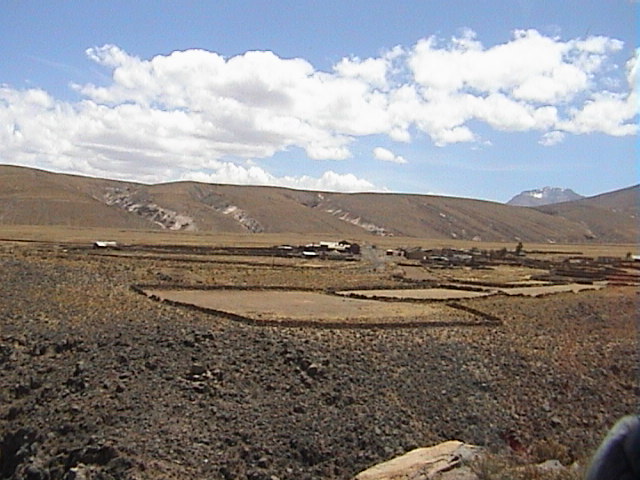 DSC00450
