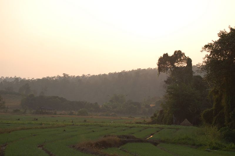 DSC_4929.JPG