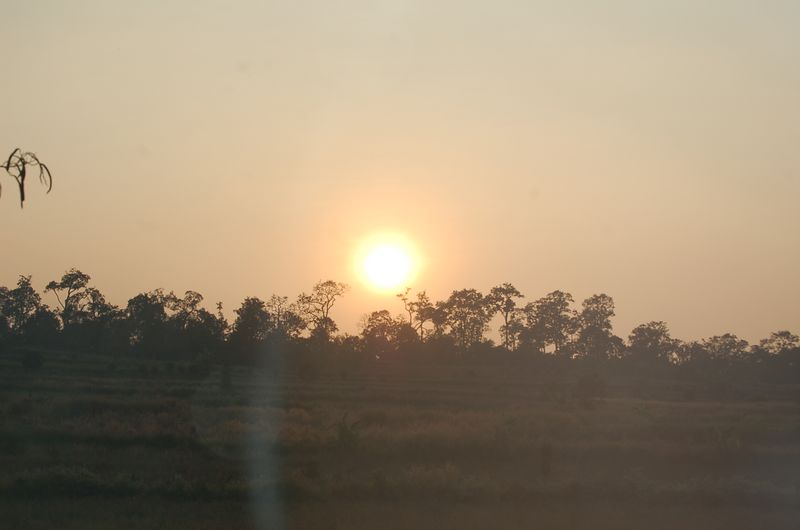 DSC_4972.JPG