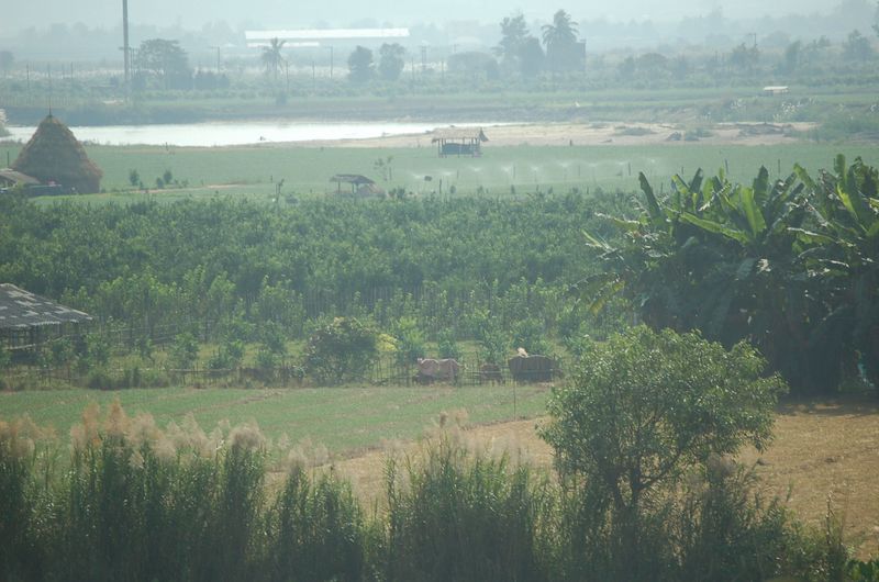 DSC_5220.JPG