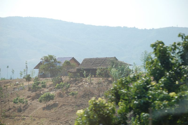 DSC_5300.JPG