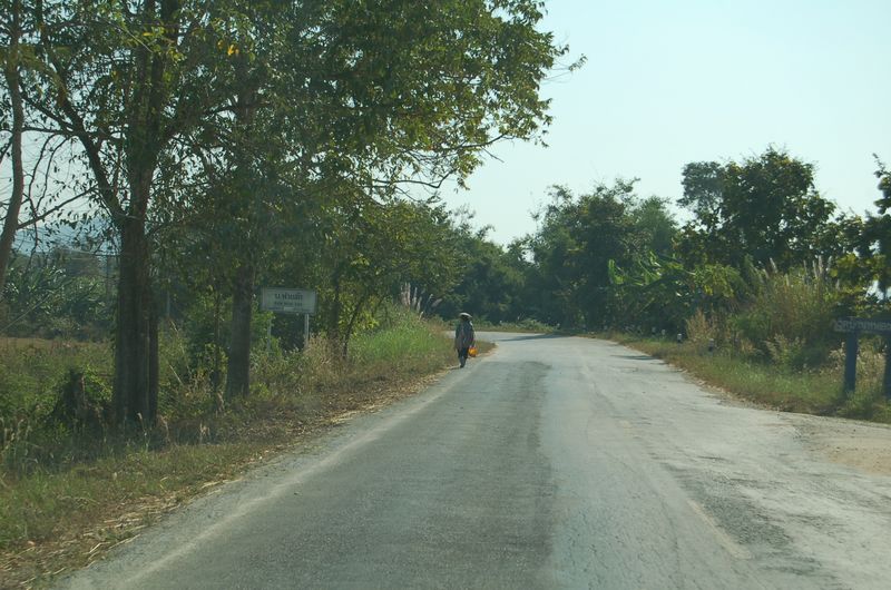 DSC_5835.JPG