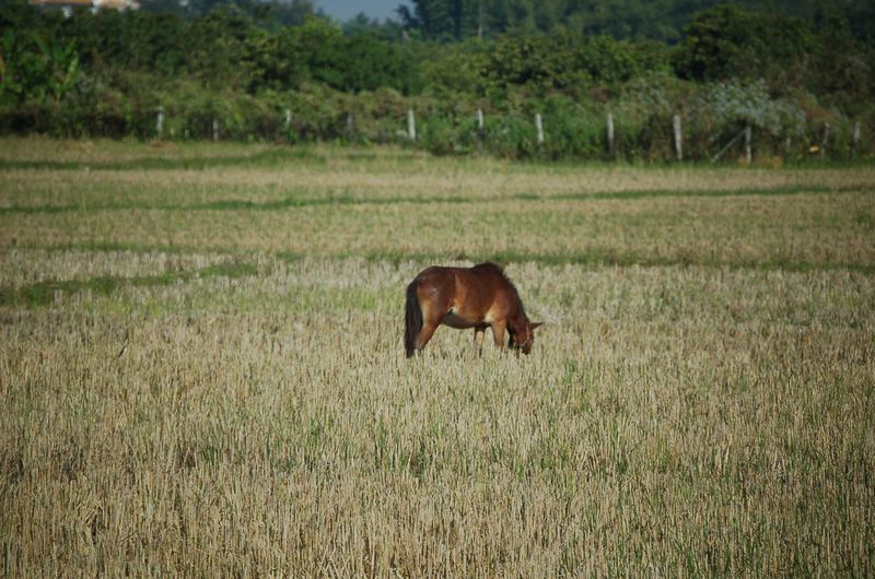 DSC_6057.JPG