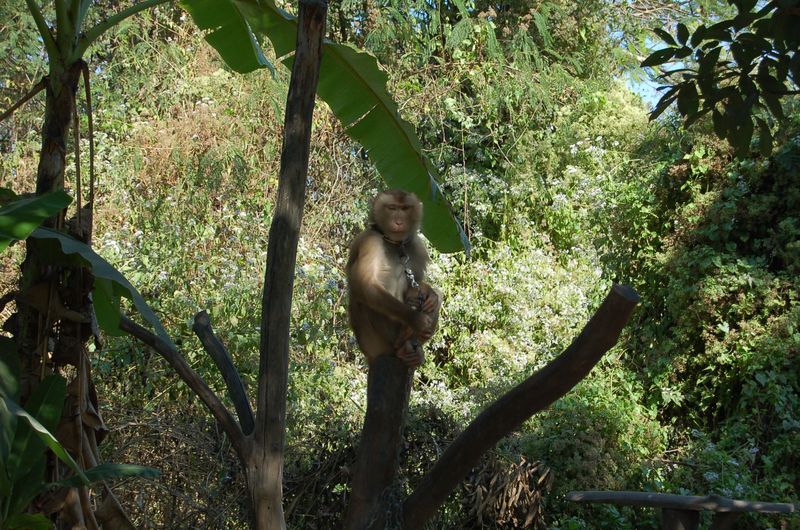 DSC_6187.JPG