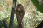 DSC_6189.JPG