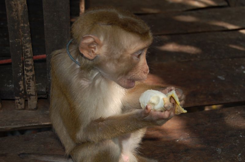 DSC_6224.JPG