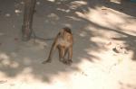 DSC_6258.JPG