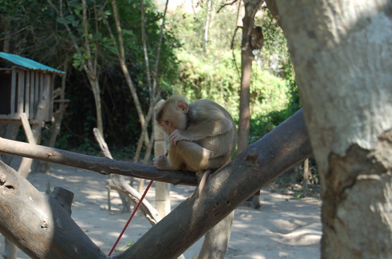 DSC_6261.JPG