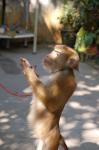 DSC_6282.JPG
