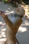DSC_6285.JPG