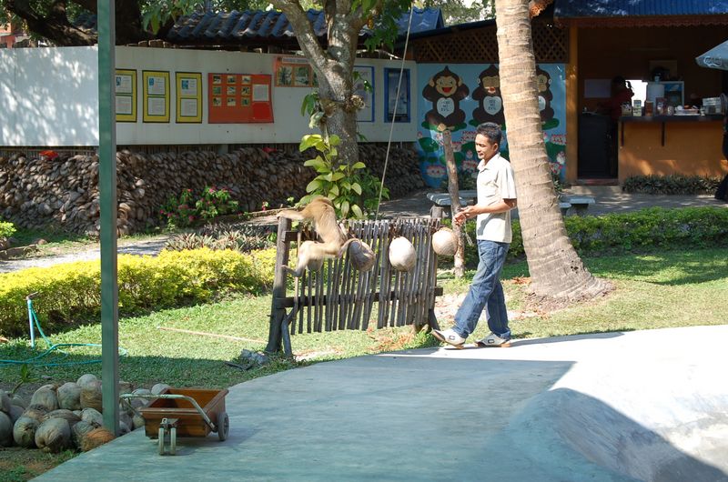 DSC_6359.JPG