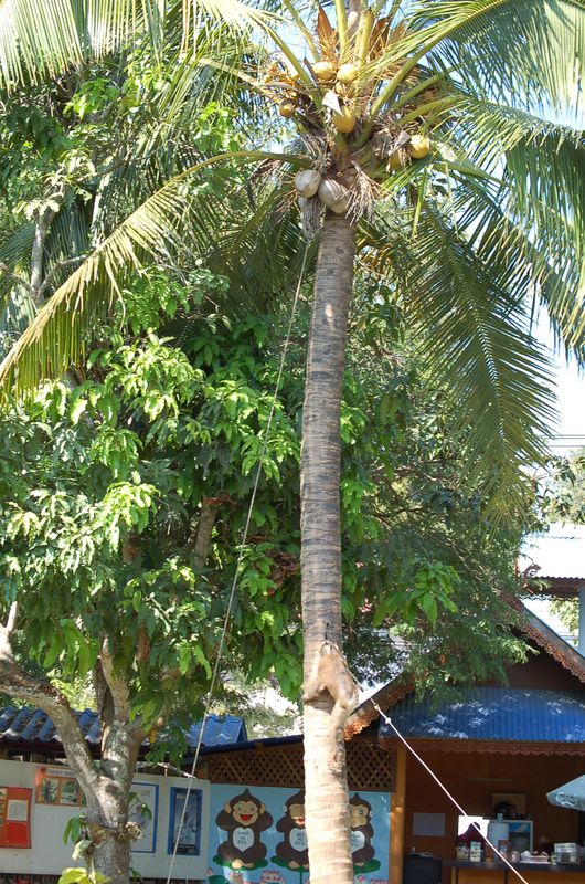 DSC_6372.JPG