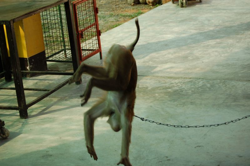 DSC_6426.JPG
