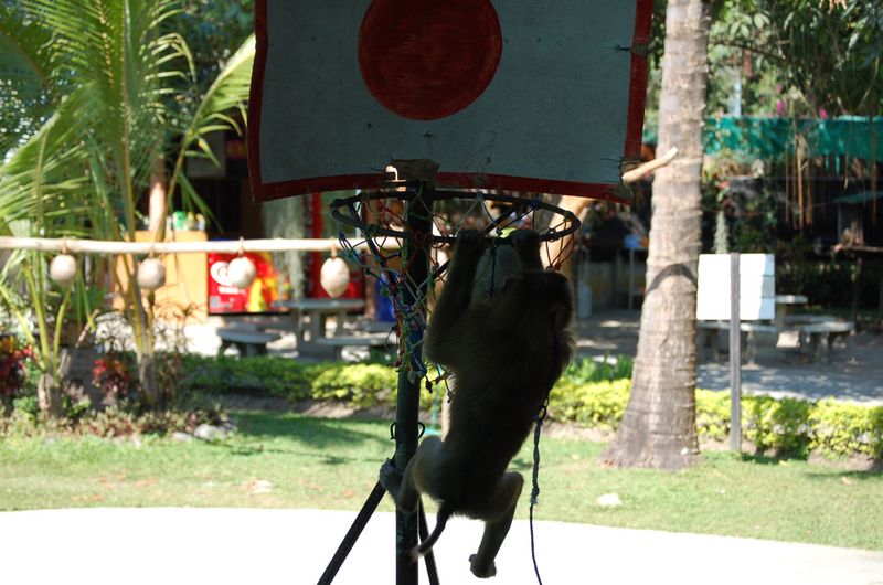 DSC_6445.JPG