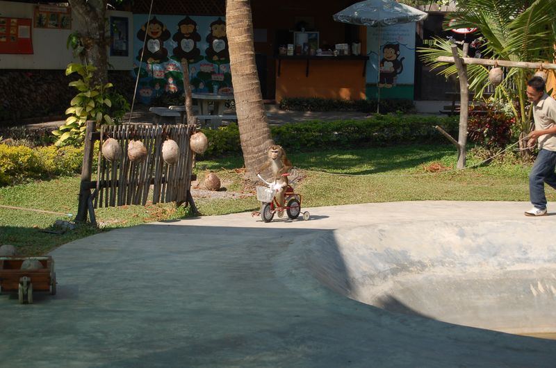 DSC_6467.JPG