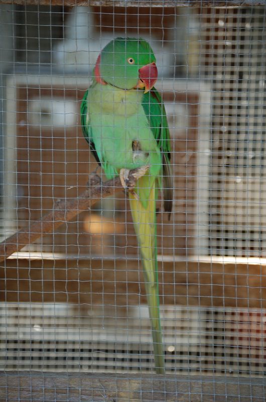 DSC_6527.JPG