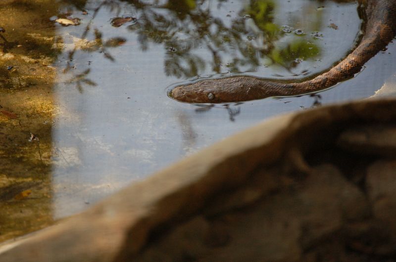 DSC_6559.JPG