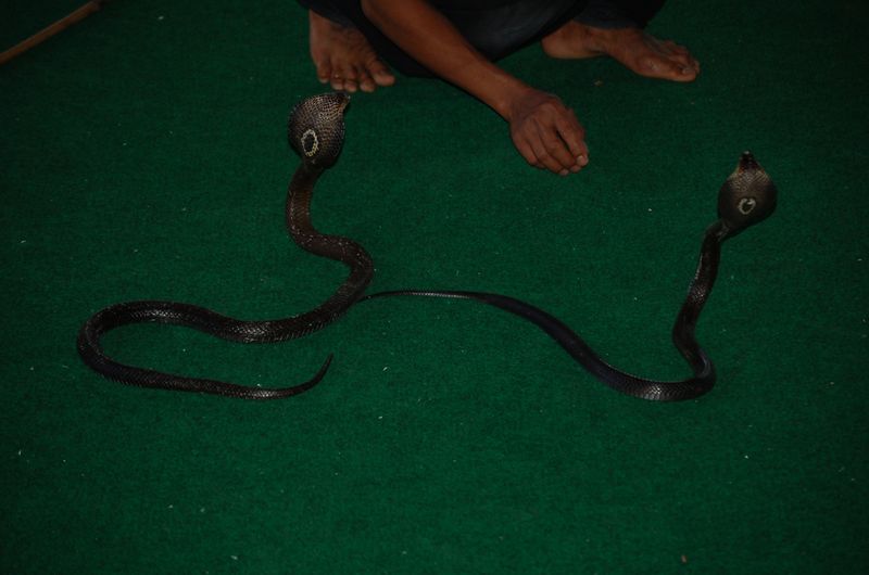 DSC_6572.JPG