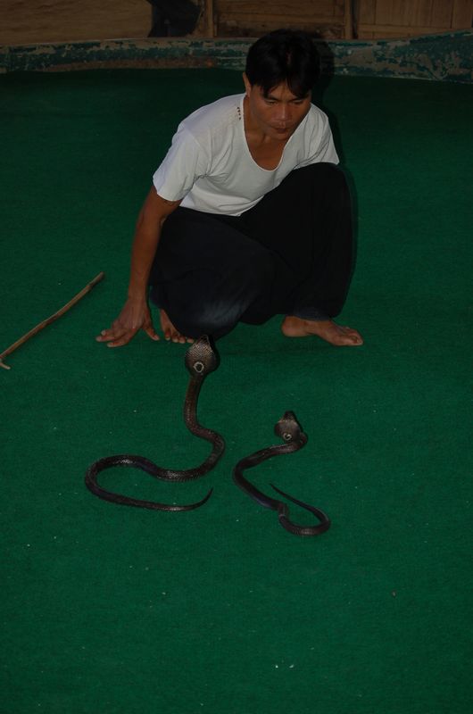 DSC_6573.JPG