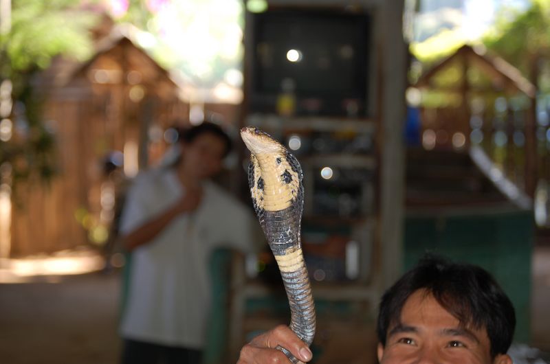 DSC_6576.JPG