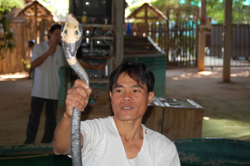 DSC_6577.JPG