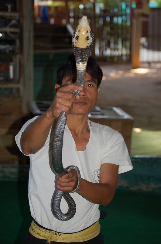 DSC_6580.JPG