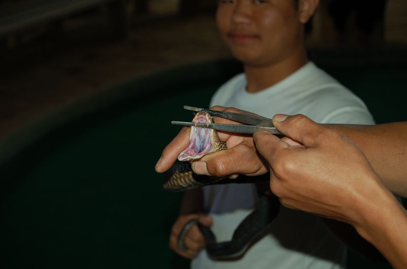 DSC_6583.JPG