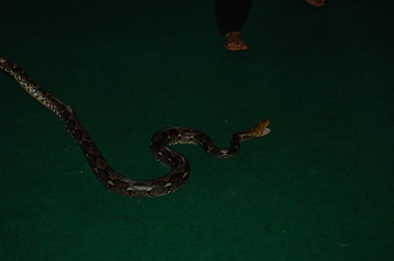 DSC_6586.JPG
