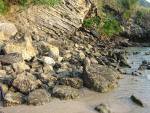 DSC00786.JPG