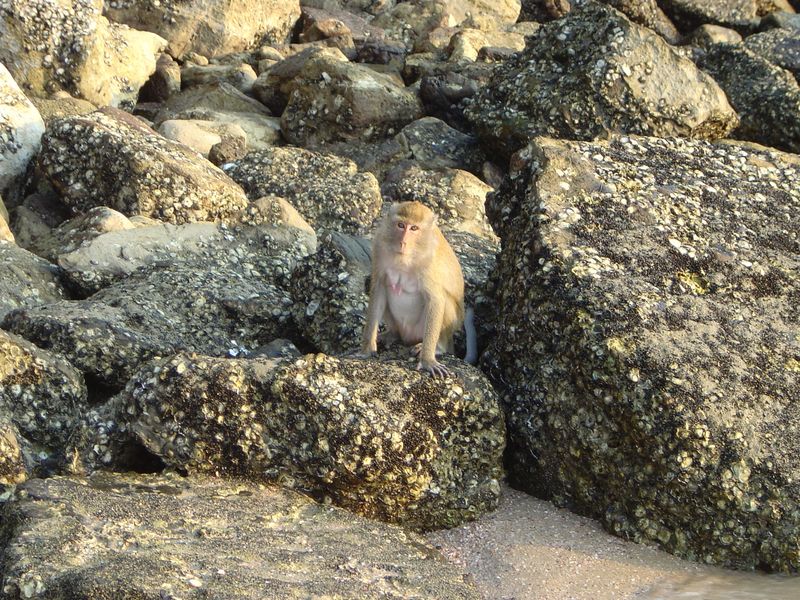 DSC00787.JPG