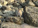 DSC00787.JPG
