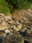DSC00807.JPG