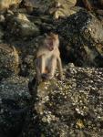 DSC00816.JPG