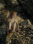 DSC00817.JPG