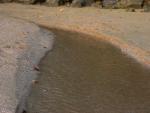 DSC00830.JPG