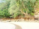 DSC00833.JPG