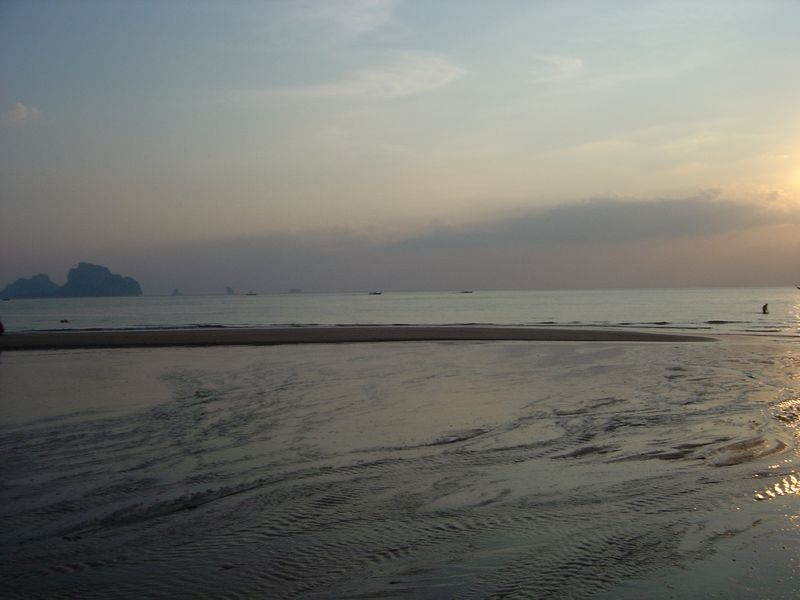 DSC00835.JPG