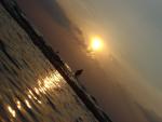 DSC00847.JPG