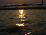 DSC00852.JPG