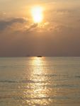 DSC00871.JPG