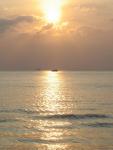 DSC00872.JPG
